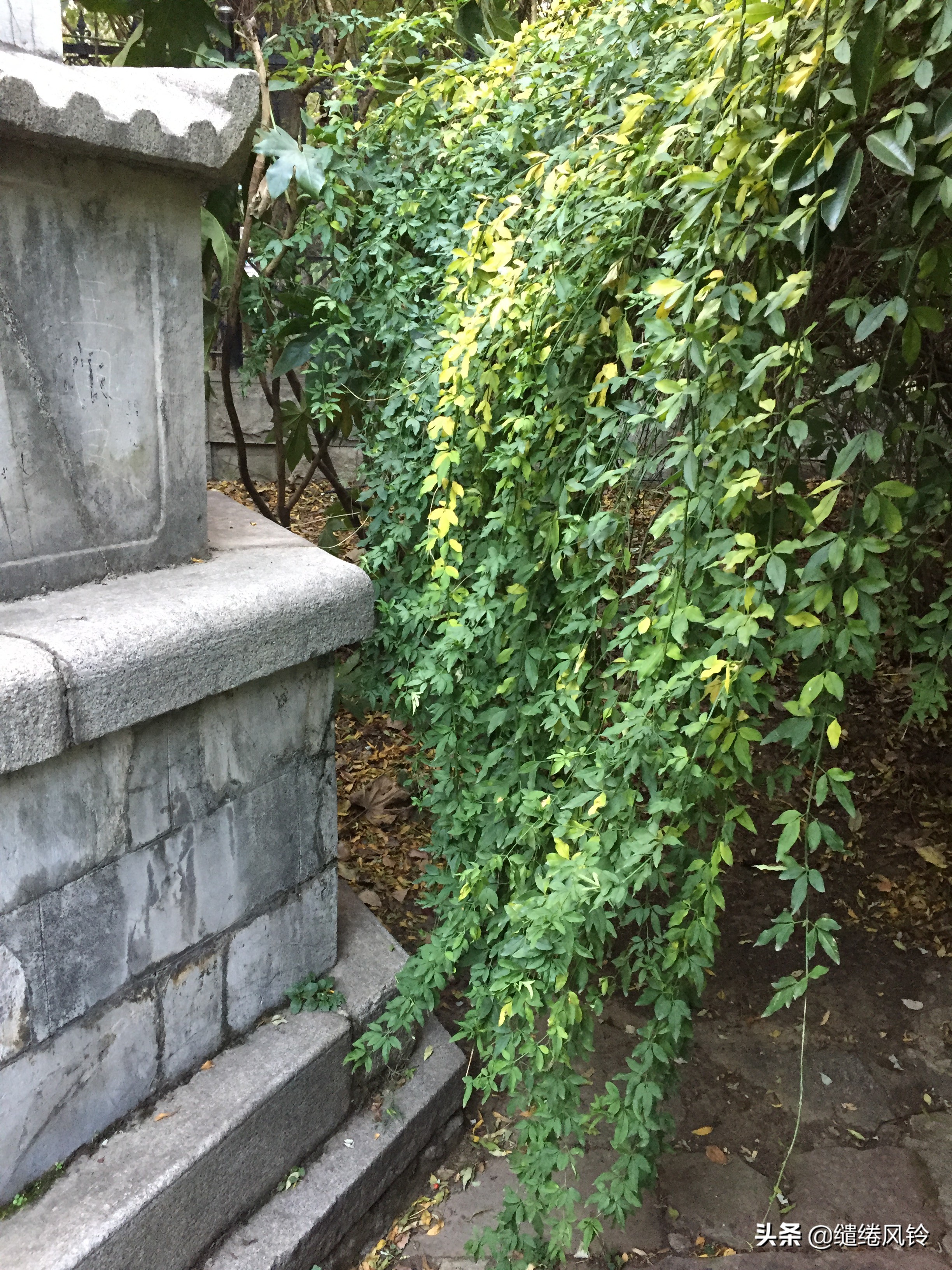 石榴花塔：惊天泣地汉版《窦娥冤》，演绎一段悲戚哀婉的经典传奇