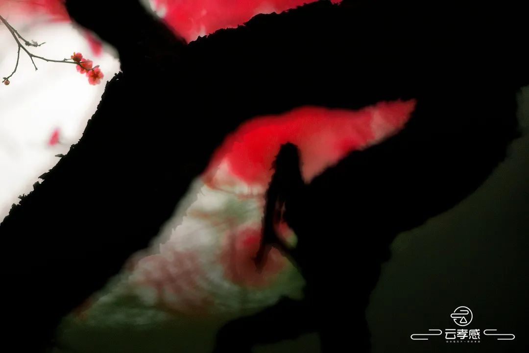 李鸿飞摄影作品初春,李鸿飞画家