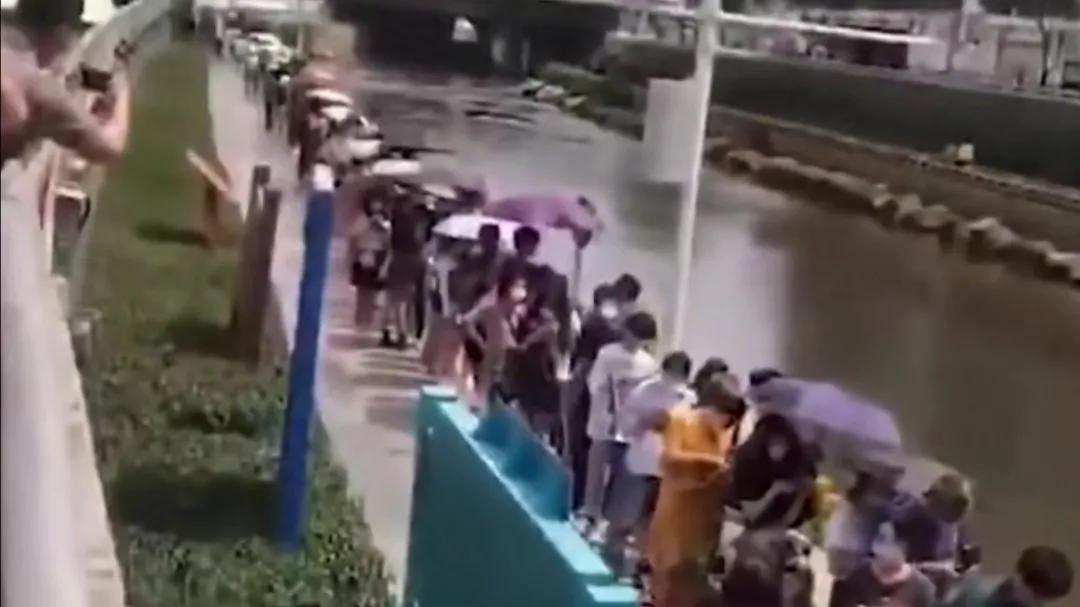 成千上万人来排队,成千上万的人排队30分钟