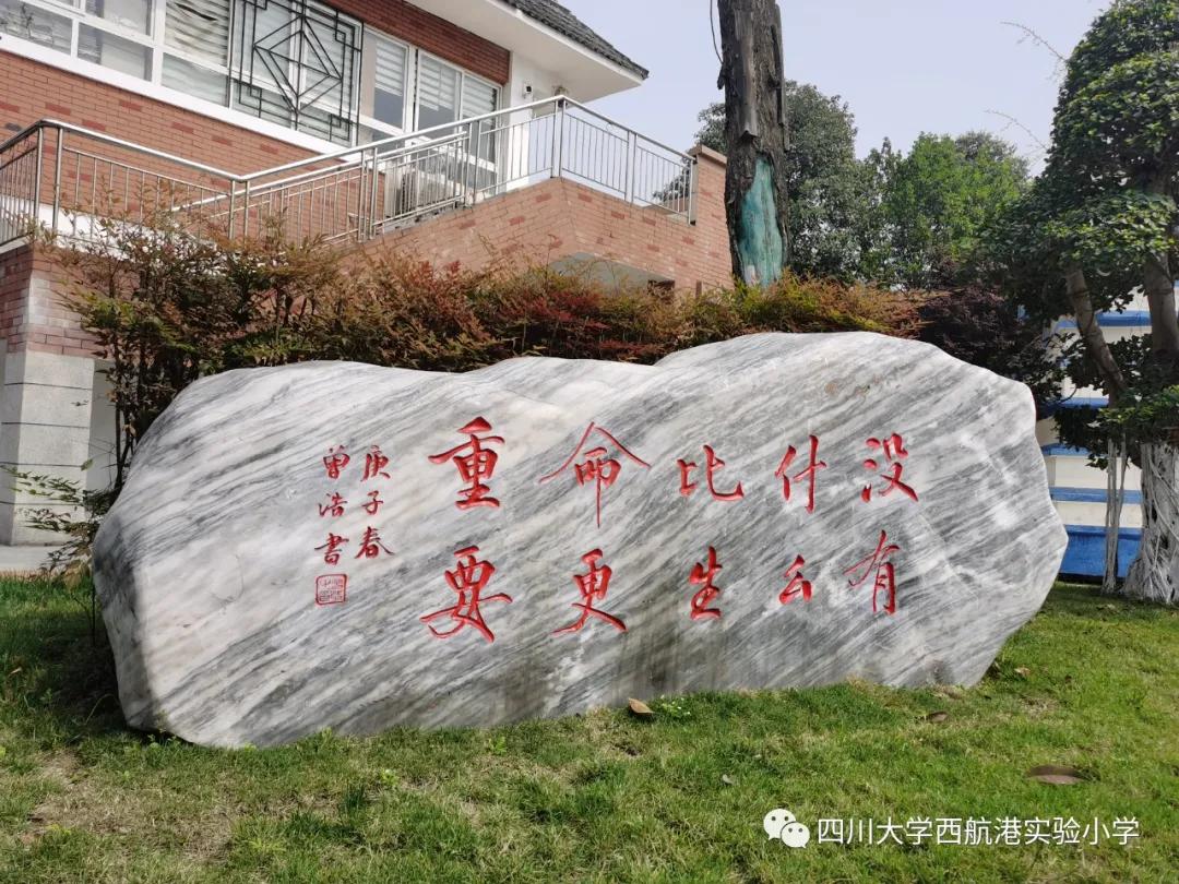 川大西航港实验小学课程表,四川大学西航港实验小学择校