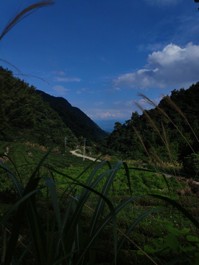 蕲春仙人台近日发生车祸,蕲春仙人台海拔