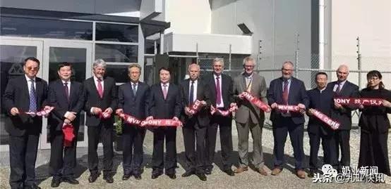 新西兰奶粉纽瑞滋是真的吗,纽瑞滋新西兰奶粉安全吗