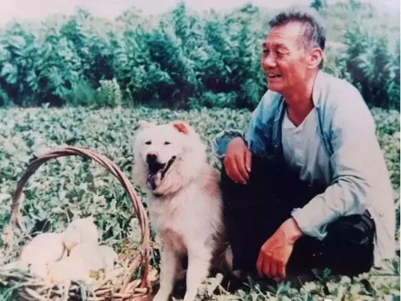 暖春小花爷爷葬礼,暖春小花的爷爷怎么去世的