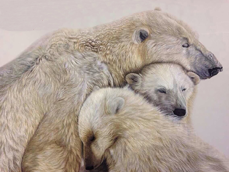 藏金和藏绣哪个好看,藏绣价格一般多少