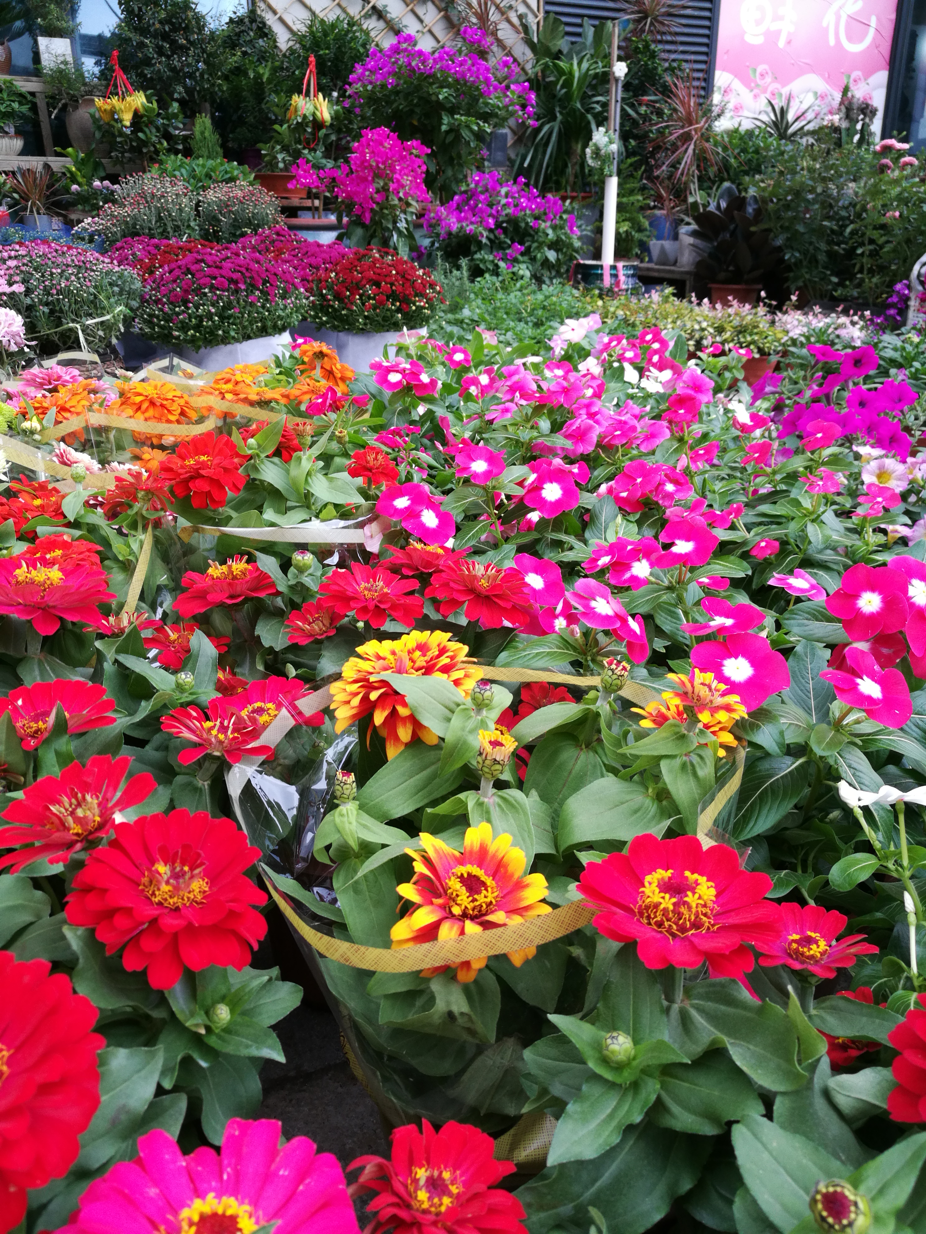 给想开花店的小白的几个忠告,新手小白不摆摊在家怎么开花店