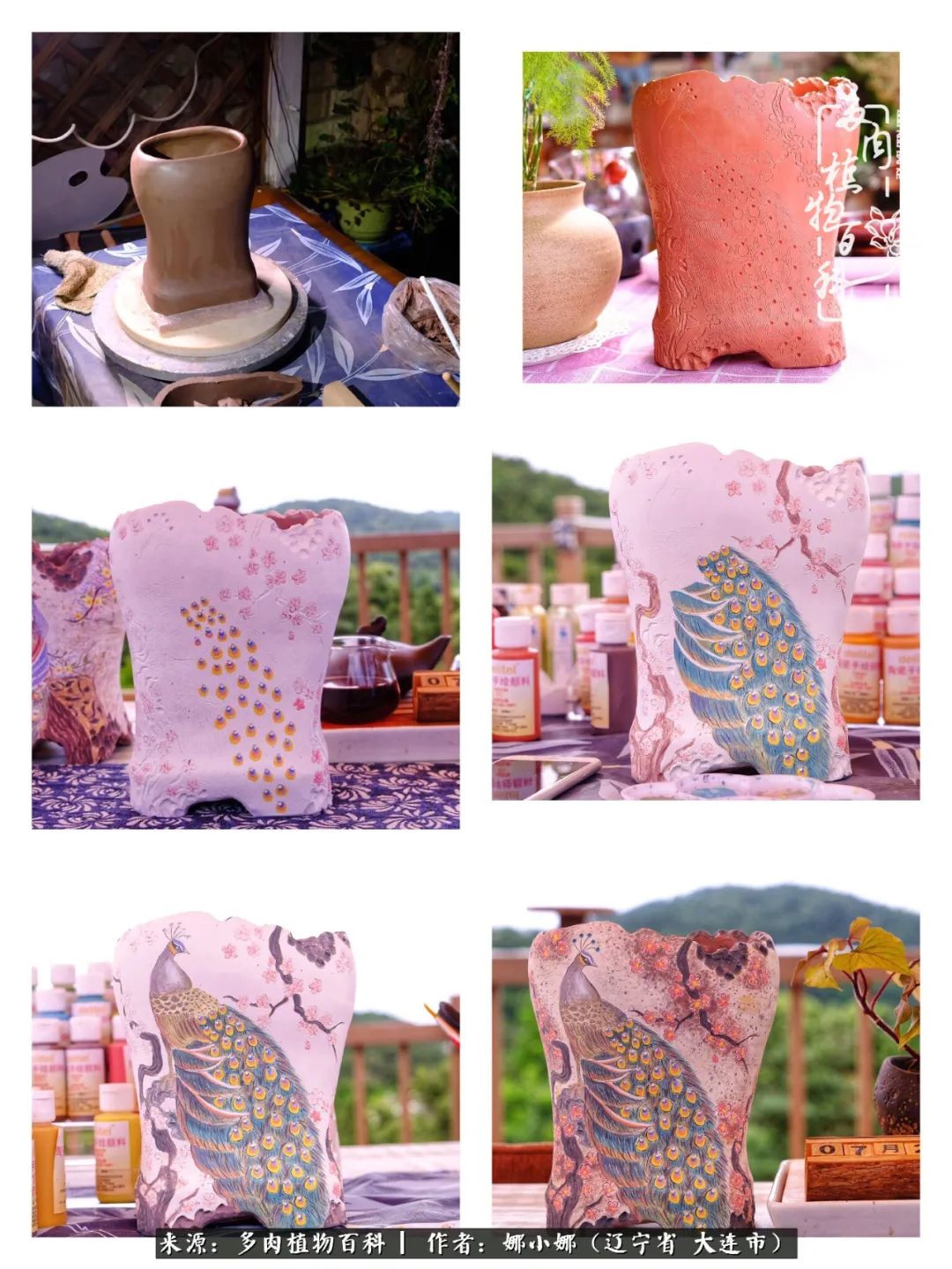 你是盆我是花，你护我周全，我为你绽放