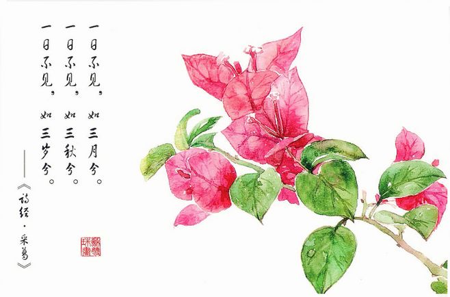 诗经里最美的50首诗句,诗经中十大绝美诗句欣赏