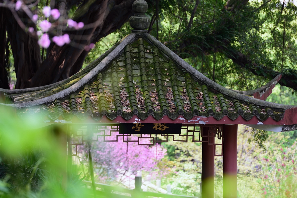 一春芳意，三月如风，日长风静，花影闲相照。