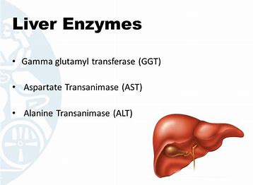 乙肝小三阳和大三阳严重程度比较,乙肝是大三阳好还是小三阳好