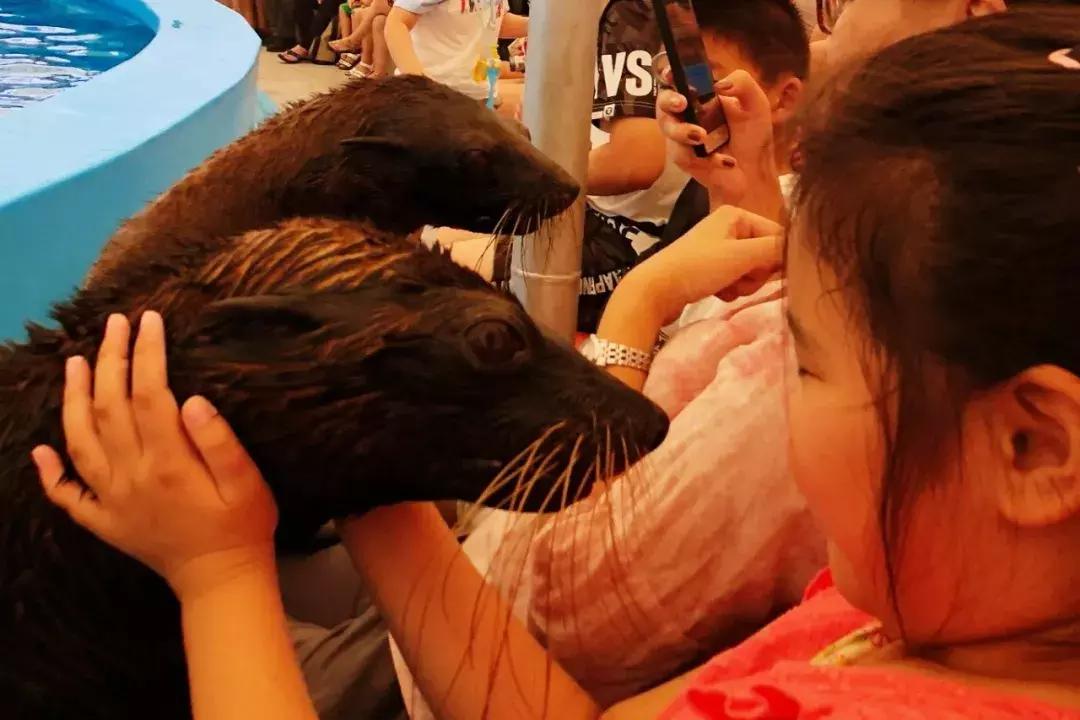 普吉岛雨天游玩攻略视频,普吉岛旅游帆船3天2晚