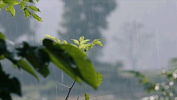 南粤山河多锦绣丨一路向北,在粤北找到最初的广东