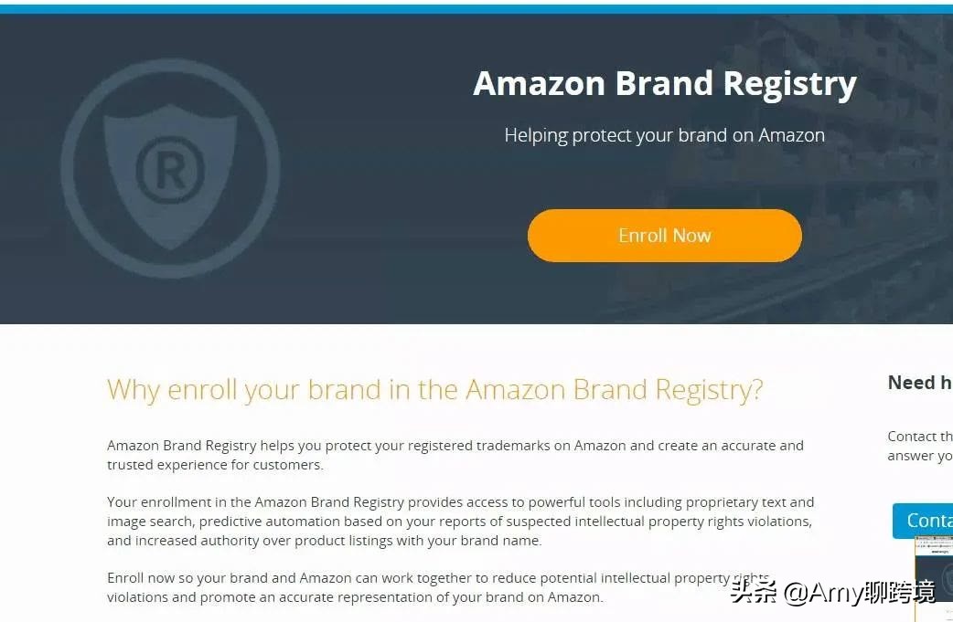 亚马逊怎么防止侵犯知识产权 (亚马逊知识产权侵权怎么规避)