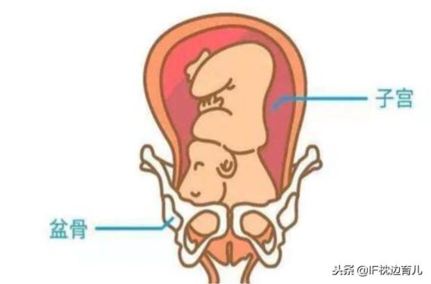 孕晚期肚子发紧担心胎儿缺氧,孕晚期有下坠感胎儿在肚子里