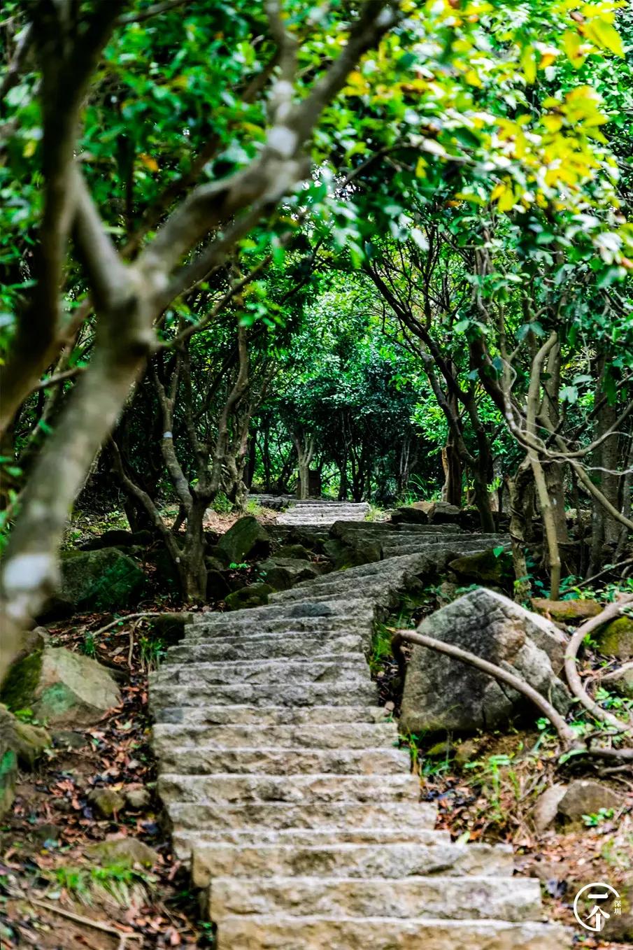 塘朗租房贵吗,西丽塘朗房租