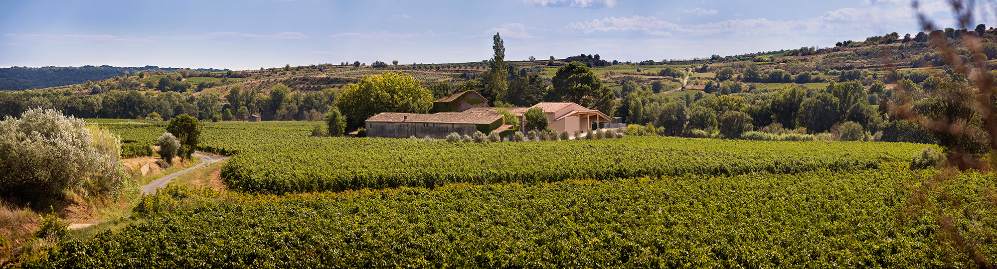 540+国家展团品牌商集结2021成都TAOWINE酒店展