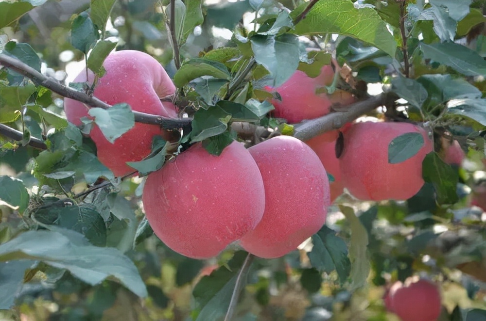 大连60条精品旅游线路,大连旅游一日游线路推荐