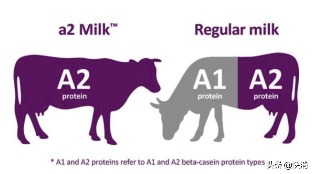 乳业头部聚杀A2概念！中国代购扛起来的A2公司，危机迎来？