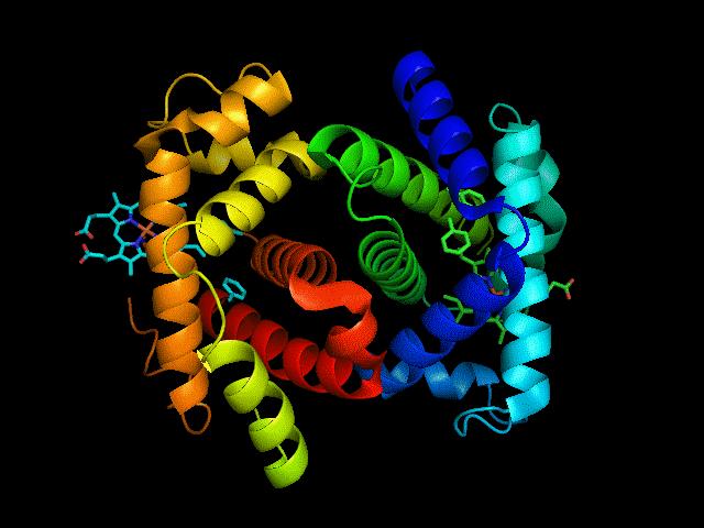 为什么输血需要配型,熊猫血配型成功