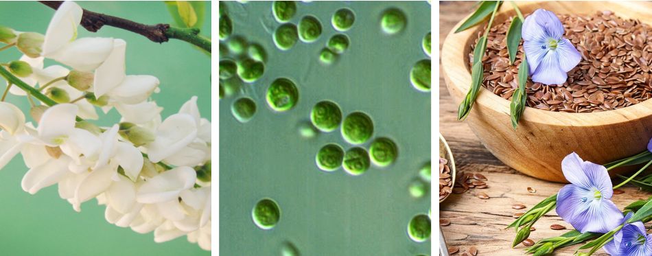 抗敏健齿，你的私人牙周护理专家