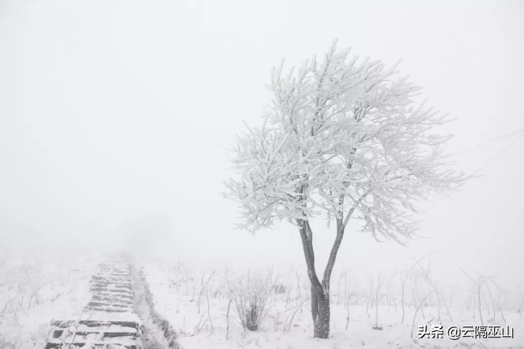 华蓥山1月15日还有雪吗,华蓥山冬天有雪吗