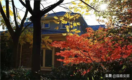 香格里拉售楼部电话,杭州新湖香格里拉平面图