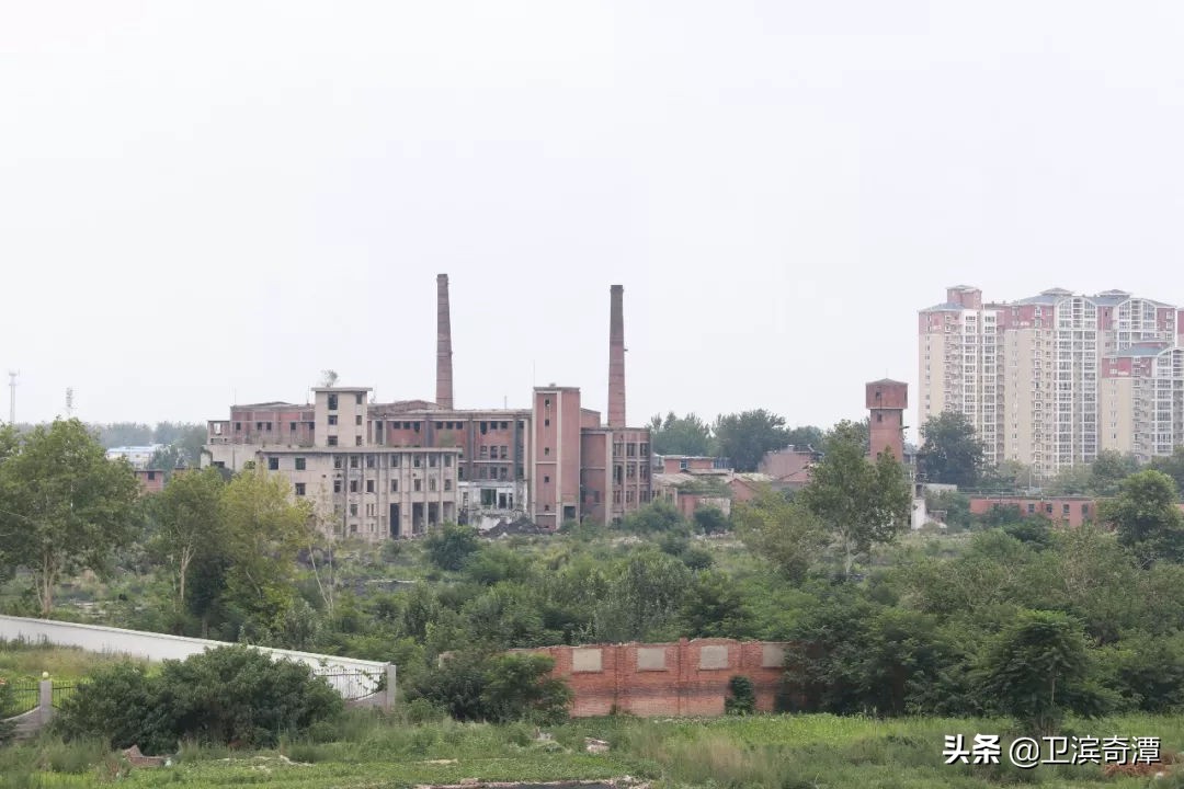 建国以后的河南新乡有哪些大事发生?(三)1951——1952