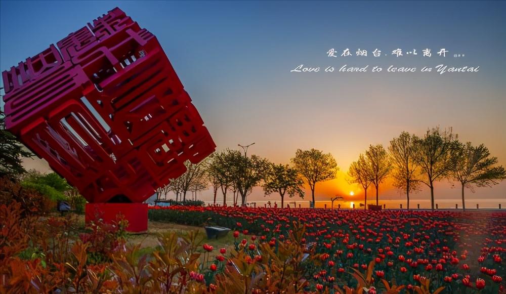 烟台葡萄酒城游览,烟台山海仙境旅游攻略