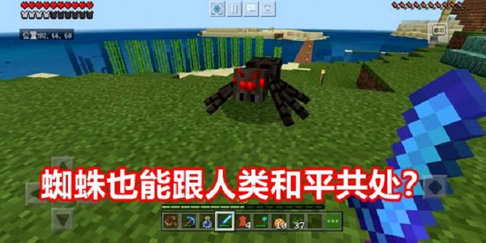 我的世界蜘蛛科普,我的世界最稀有的隐身蜘蛛