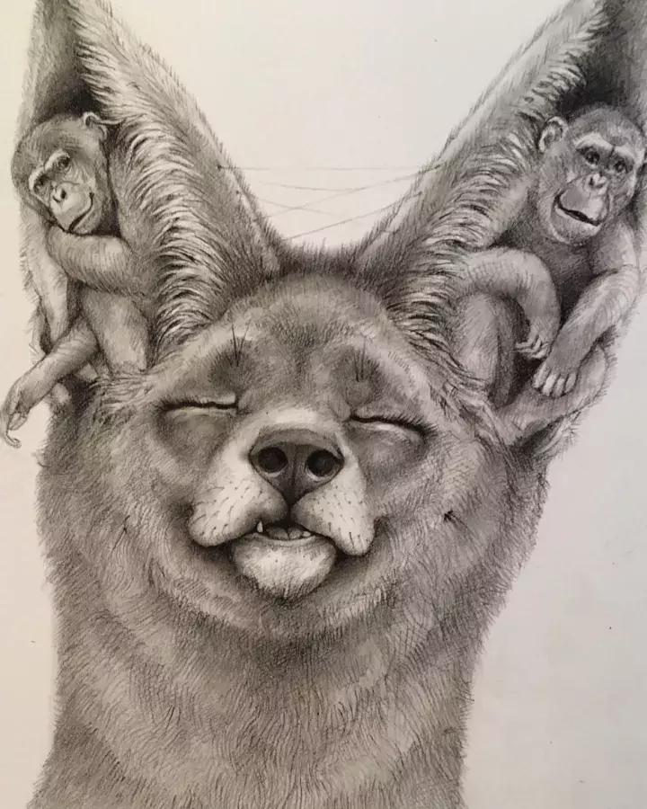 好看的动物素描,一看就会的动物素描