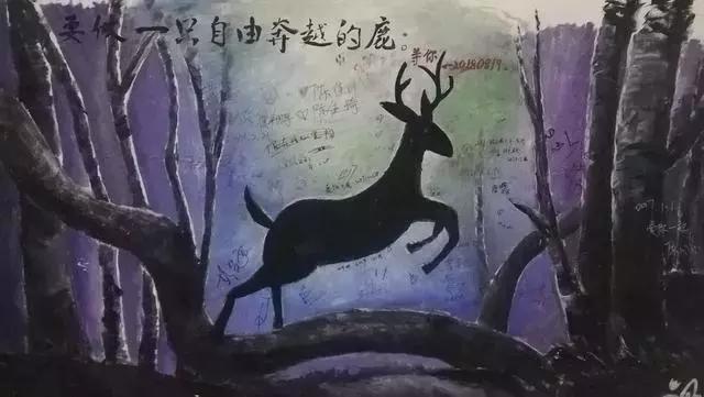 厦大的涂鸦,厦大涂鸦长廊