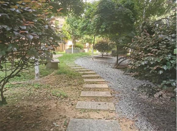 做梦也想不到自己的车多少钱,做梦都想不到还能提个车