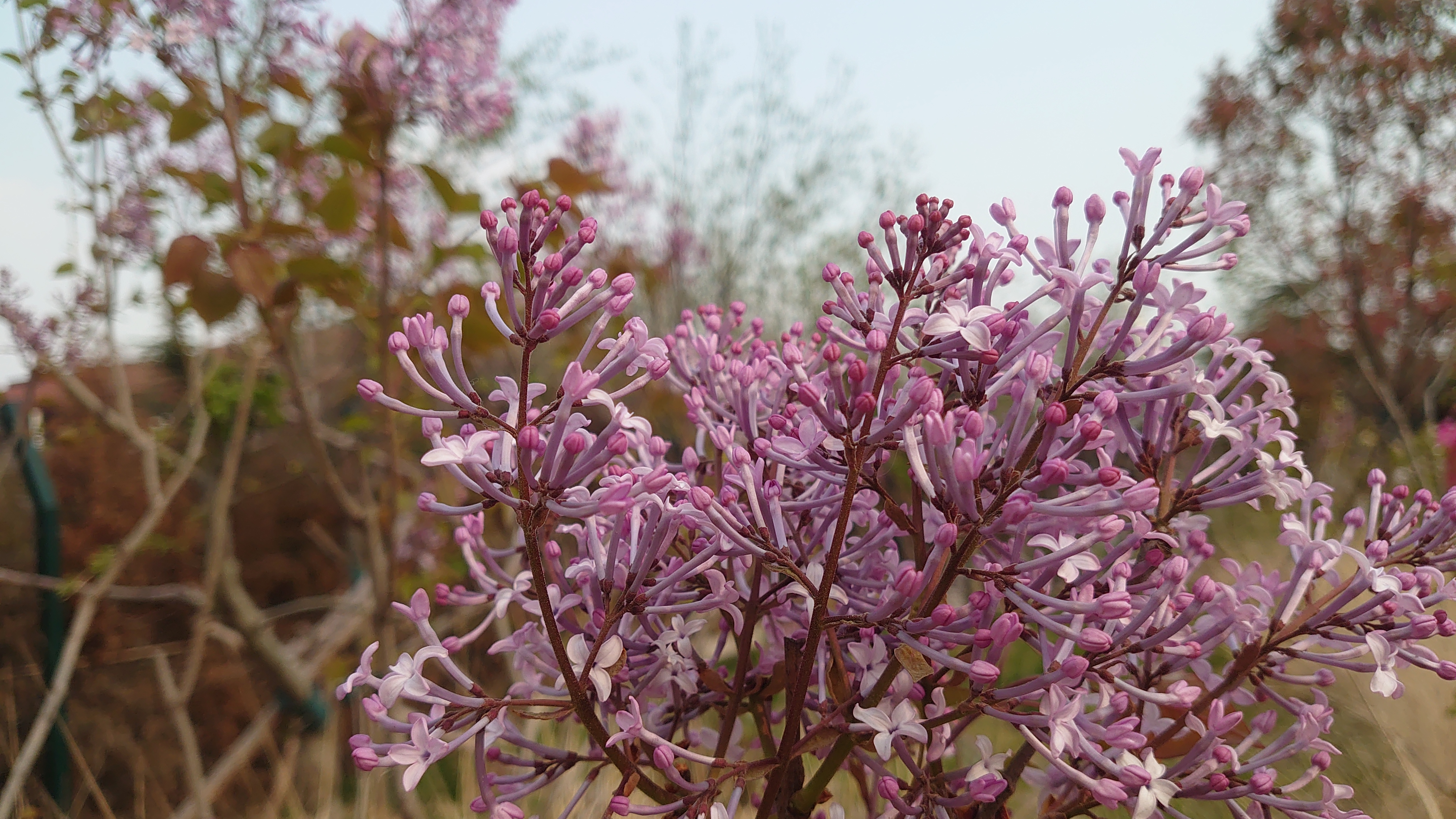 索尼微单手机xperia5i,索尼xperia5ii深度评测