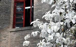 志愿填报季,你必须要知道的“宝藏”大学——西北农林科技大学