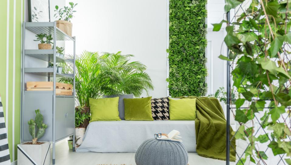 新房怎么去除甲醛最有效的方法,新房怎样快速去除甲醛最有效