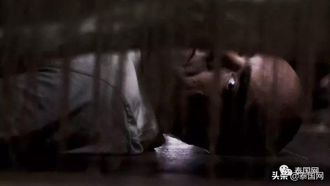 变态男*光脱**衣服藏在床底！泰国女子回家竟遭遇真人版《门锁》！