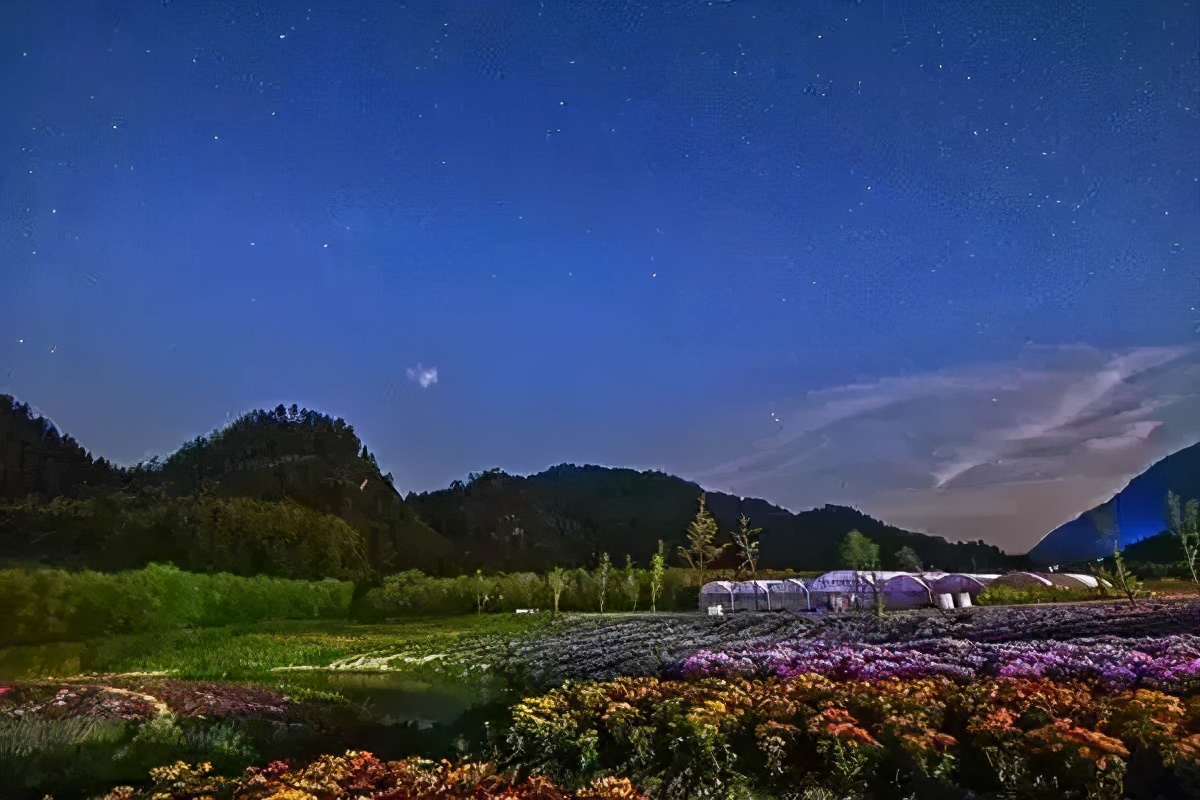 重庆风景优美的旅游地免费,重庆风景好的地方三天自驾游