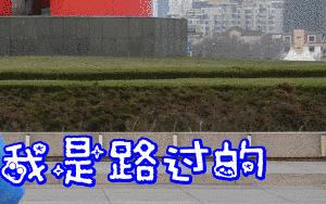 插z勾y鲜肉偶像的资源咖女星，竟乱搞染病得罪金猪？