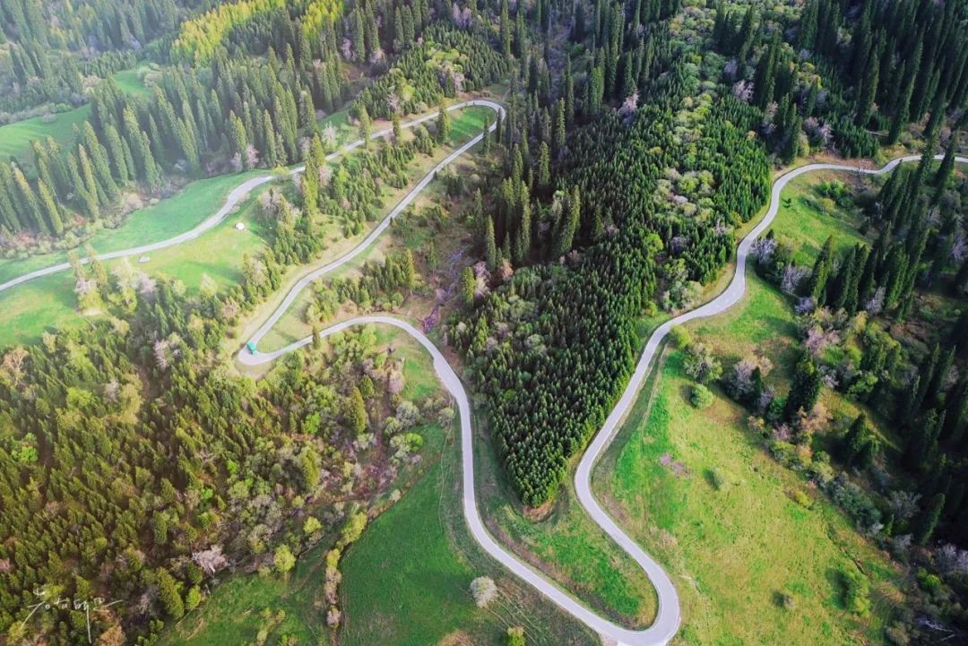 一个苏州女子,一个*疆新**控,2020年疫情之下去*疆新**旅行5次