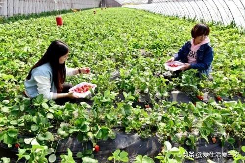 有哪些可以快速赚钱的小项目,老人项目里哪一个项目最赚钱