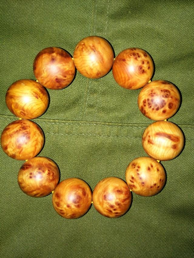 川料崖柏产地,崖柏和刺柏有什么区别