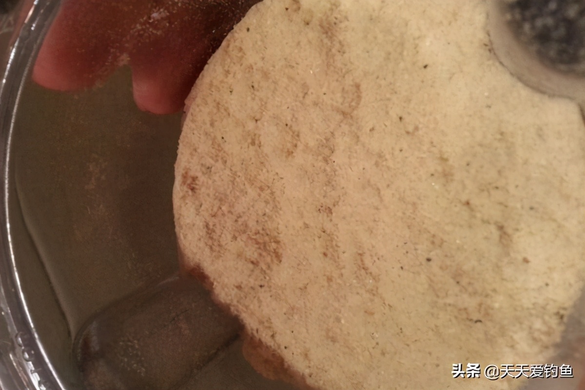 钓鲫鱼是虾粉好还是蚕蛹粉好用,钓鲫鱼用酒米加上点虾粉打窝行吗