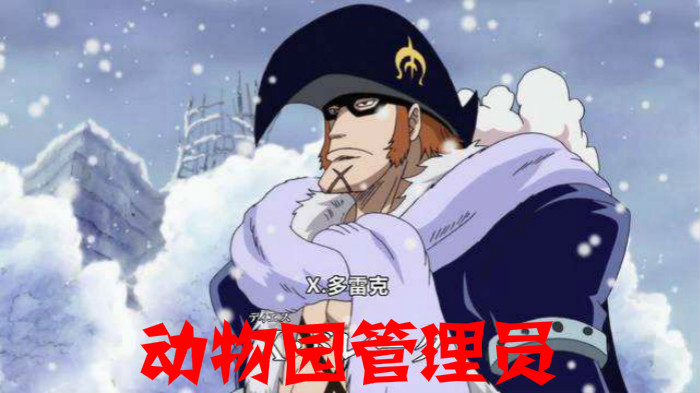 海贼王十一位超新星代表国家,海贼王中11位超新星