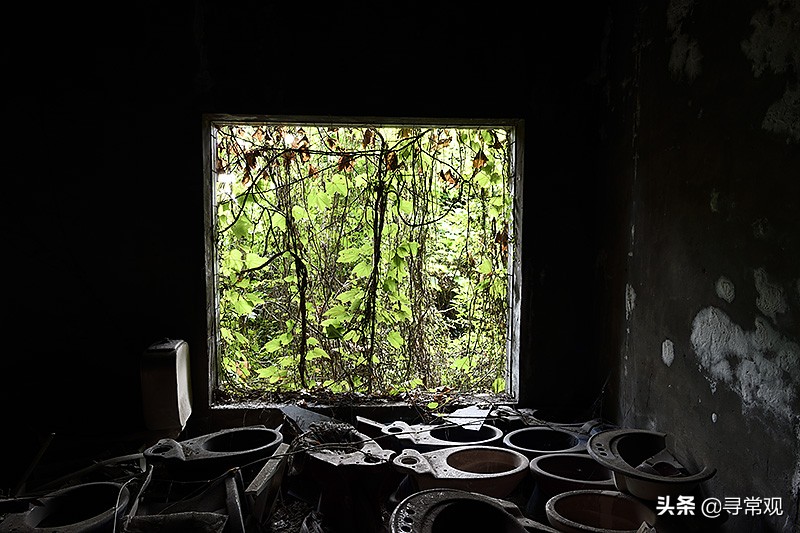 探秘重庆被人遗忘的废墟,被植物吞噬的小区