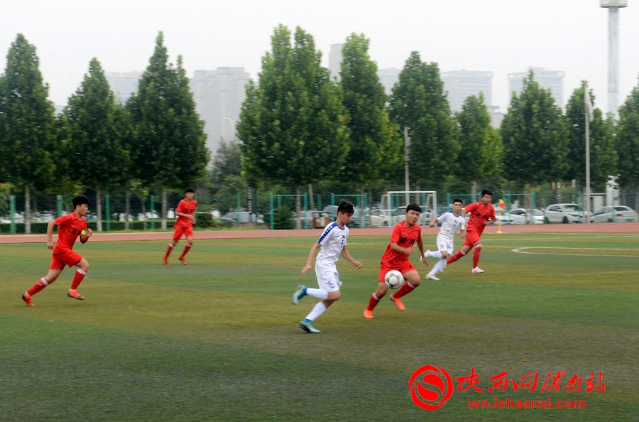 乌兹别克斯坦杯足球赛,乌兹别克斯坦与韩国队足球赛