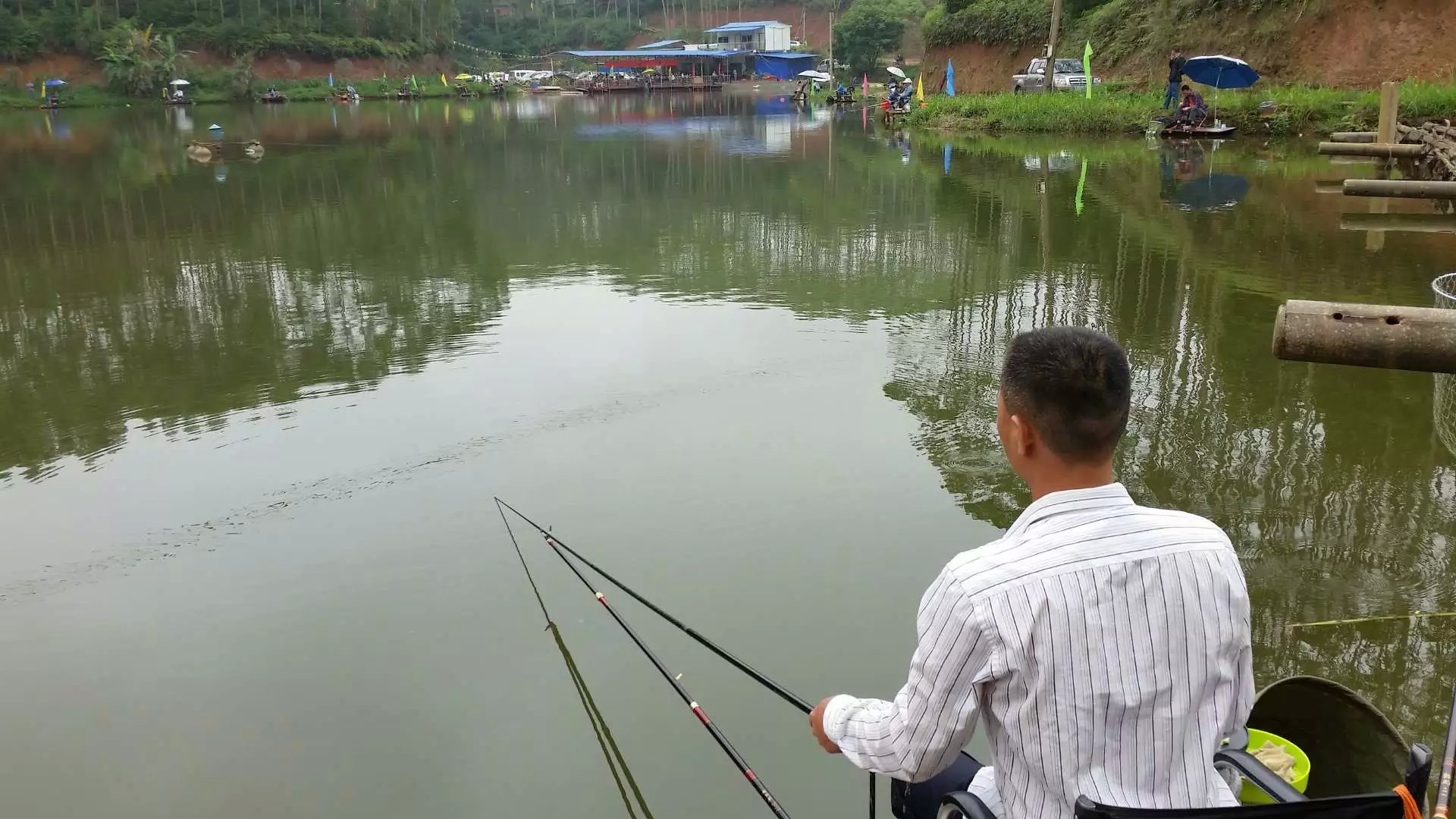 各品种鱼钓法习性,12种常见鱼的作钓技巧