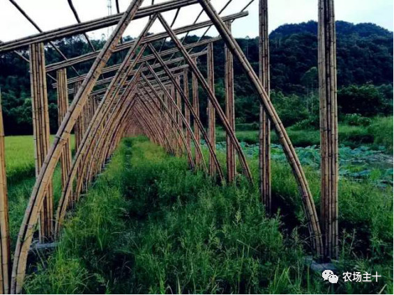 你是否曾经也向往过农村生活,向往田园生活和体验往往有差距