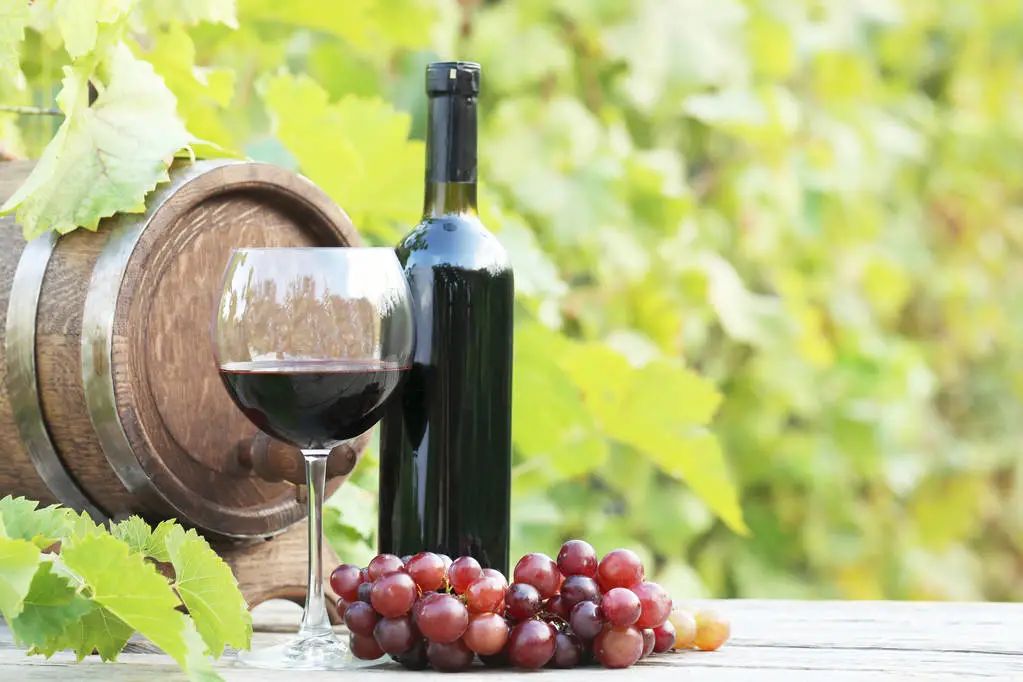 古代带货第一人张骞,中国第一外交使臣张骞