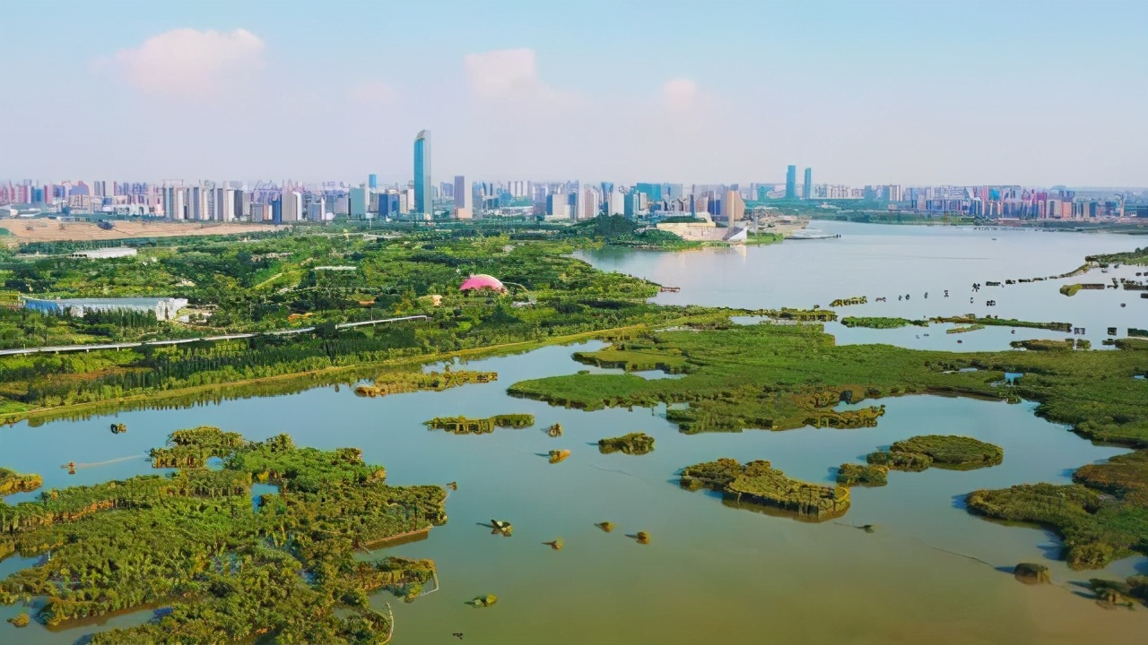 金凤区人口,10年来人口增长