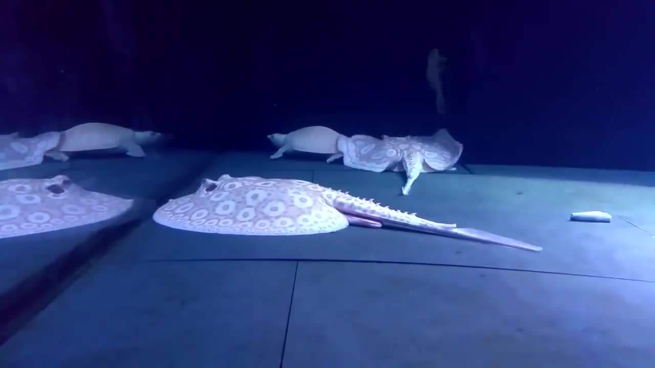 鱼友也分三六九等，看你属于哪类人群，我算普通鱼友