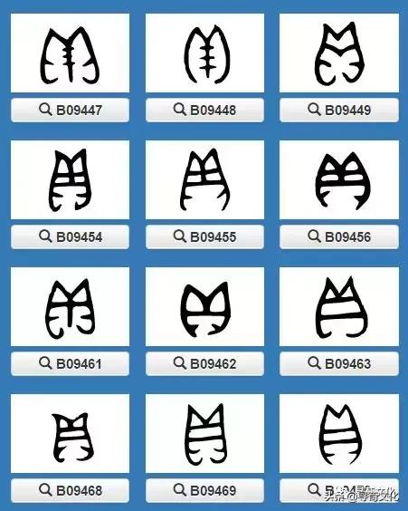 施汉字的艺术与中华姓氏文化,姓氏文化汉字艺术